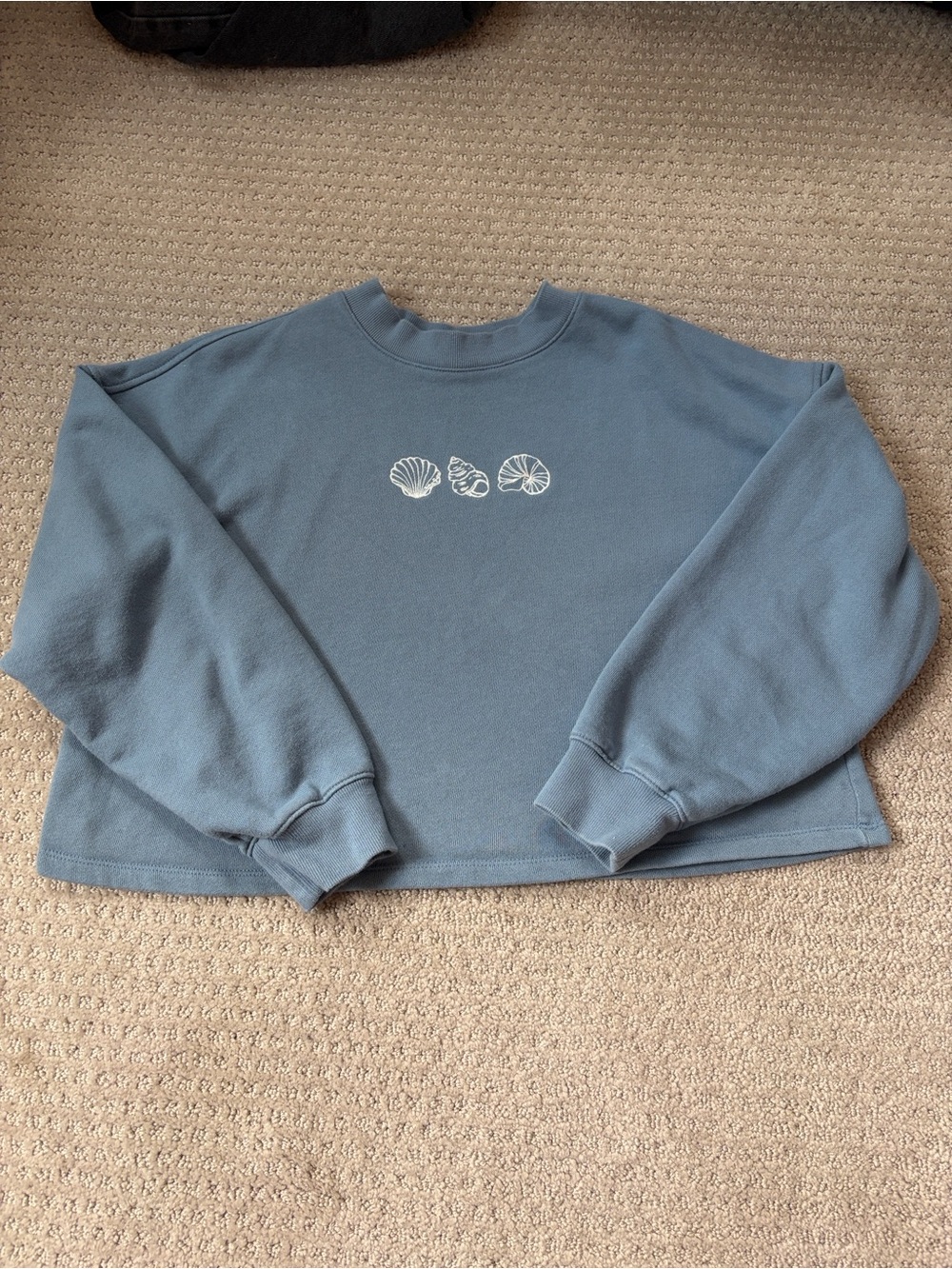 Wild Fable Sweatshirt Blue Cropped
Crewneck Seashell Embroidered